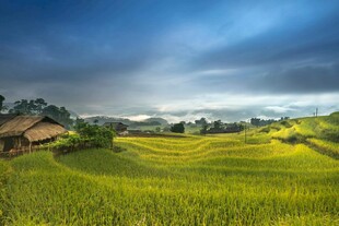 田园风光中的静谧小屋