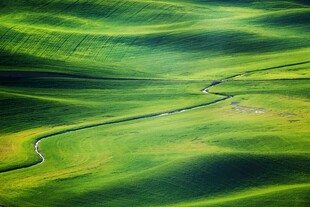 绿色田野中的蜿蜒小路