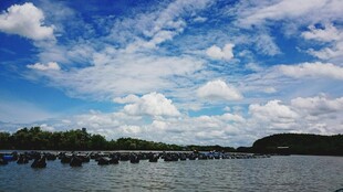 湖畔蓝天绿树风景如画