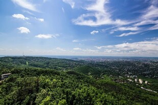 俯瞰葱郁山林与蓝天白云