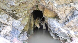 巴东雨仙谷白鹿洞 