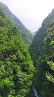 巴东雨仙谷溪谷 