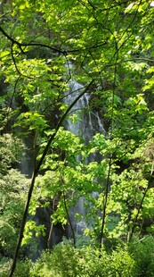 巴东雨仙谷溪谷 