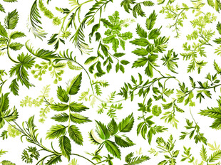 清新绿植花卉图案背景