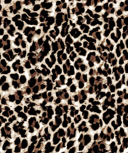 豹纹图案纹理特写