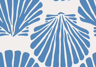 蓝白贝壳图案纹理设计