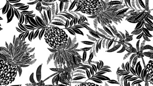 黑白植物花卉图案纹理
