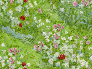 多彩花卉组成的美丽花田