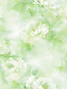 清新淡雅的白色花卉背景