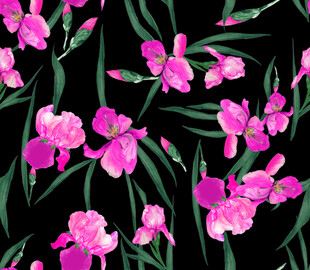 粉色兰花花卉图案背景