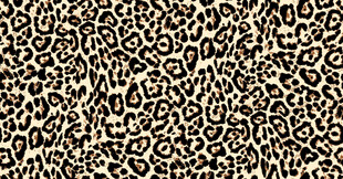 豹纹图案纹理背景图