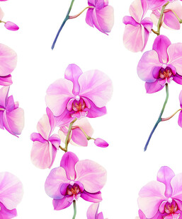 粉色兰花无缝图案背景