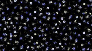 黑色背景上的蓝紫色闪光颗粒