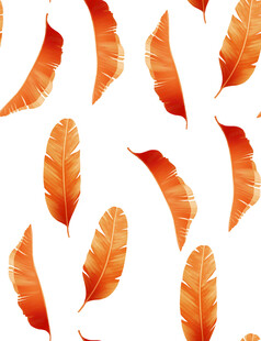橙色羽毛图案背景设计