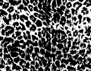 豹纹图案纹理背景