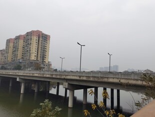 城市桥梁与周边建筑景观