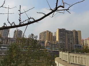 城市冬日景象