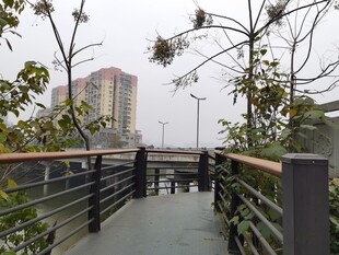 城市中宁静的户外木质步道