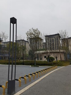 湖边道路旁的现代建筑群