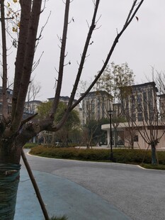 校园冬日景致