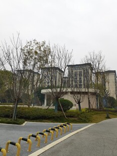 现代风格小区外道路景观