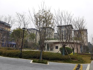现代小区景观环境一瞥