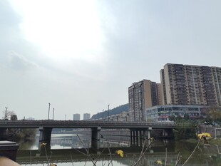 城市河畔建筑风景图