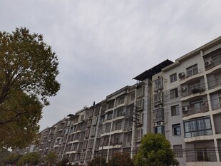 多层居民楼外观景致