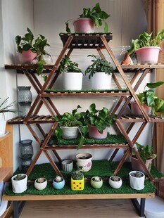 木质花架上的绿植小景