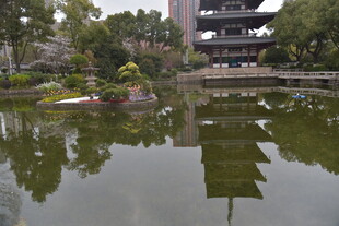 中式园林池塘景观倒影