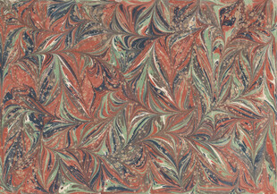 抽象多彩叶纹图案