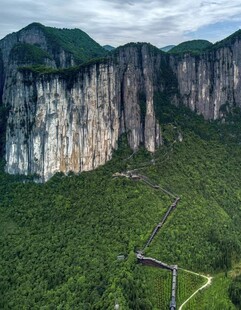 壮丽悬崖下的葱郁山林