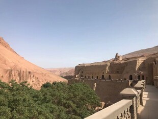 沙漠旁古老建筑与绿植景观