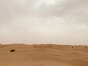 广袤沙漠中的孤寂景象