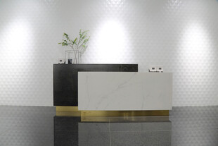 现代简约风格前台设计