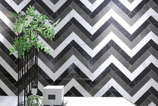 黑白锯齿纹瓷砖搭配绿植