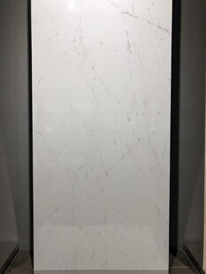 白色大理石纹理瓷砖展示