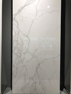 优雅大理石纹理瓷砖展示