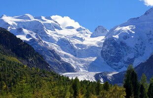 壮丽雪山与葱郁山林