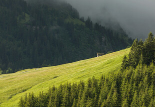 山间绿野