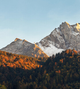 秋日雪山下的斑斓山林