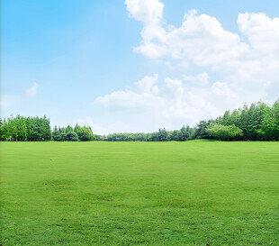 广袤绿草地与蓝天白云