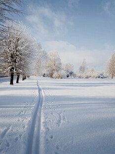 冬日雪野中的滑雪轨迹