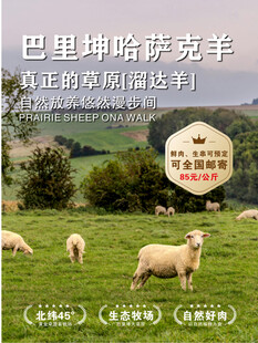 羊肉海报