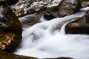 山间溪流潺潺流淌