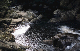 山间溪流潺潺流淌