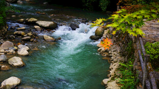 山间溪流