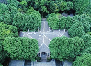 空中俯瞰绿树环绕的建筑