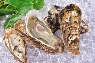 生蚝
