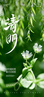 清明时节花草图